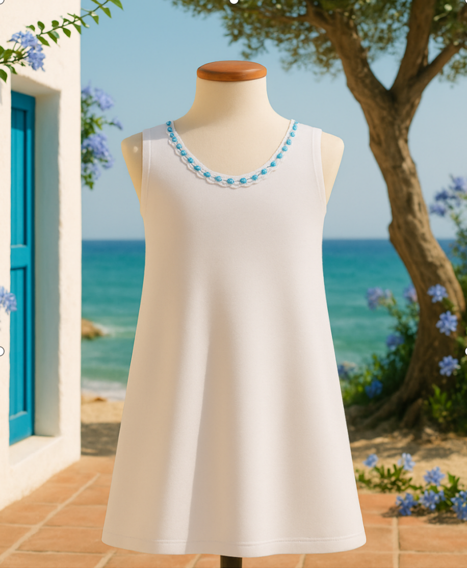 Capture d’écran 2025-06-12 à 18.29.54 Vista Frontal